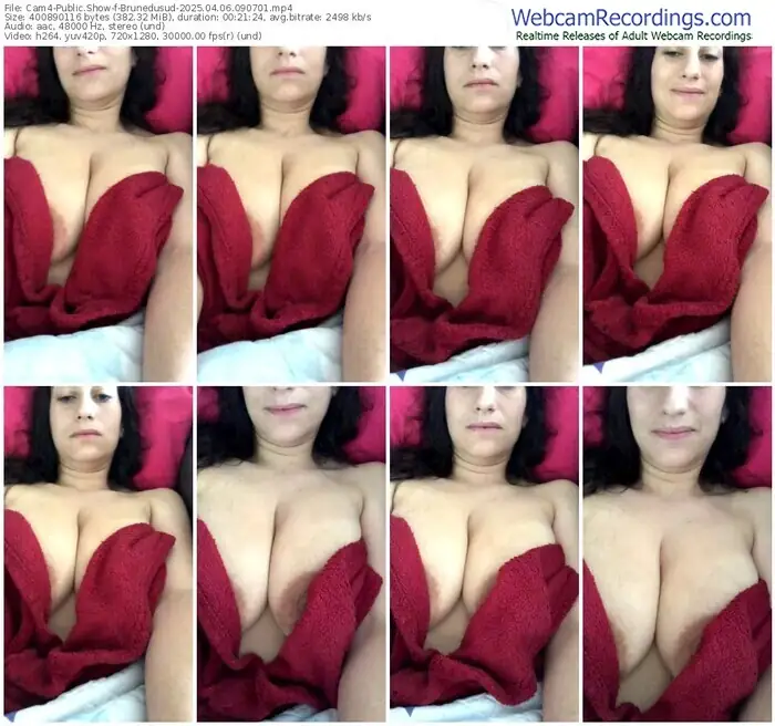 2025/04/06/cam4-brunedusud-09-07-01