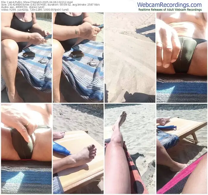 2025/04/06/cam4-tesla53-10-22-12