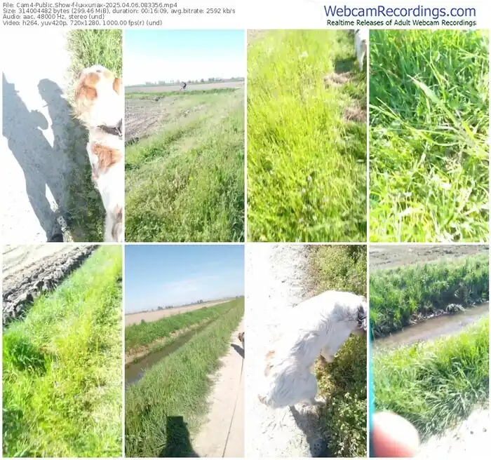 2025/04/06/cam4-luxxuriax-08-33-56