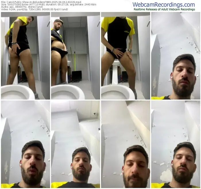 2025/04/06/cam4-belvedere7889-14-32-29