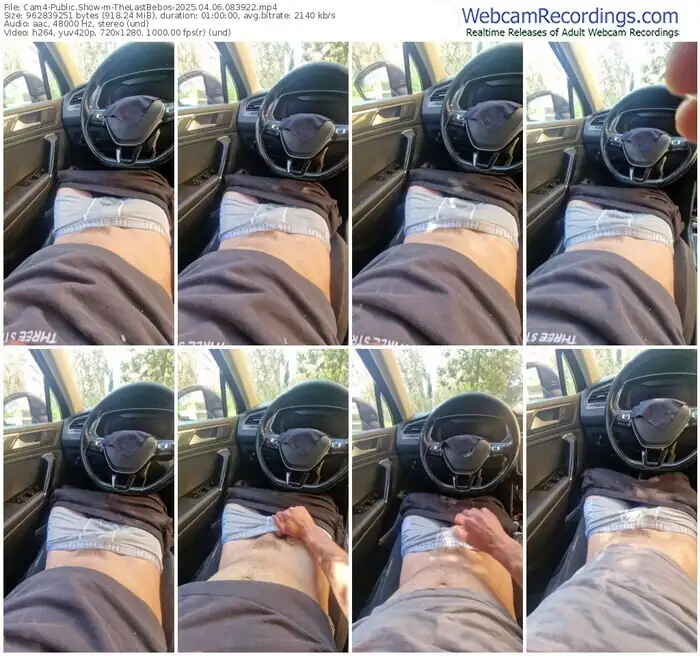 2025/04/06/cam4-thelastbebos-08-39-22