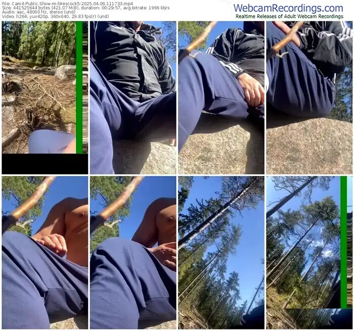 2025/04/06/cam4-likescock5-11-17-33