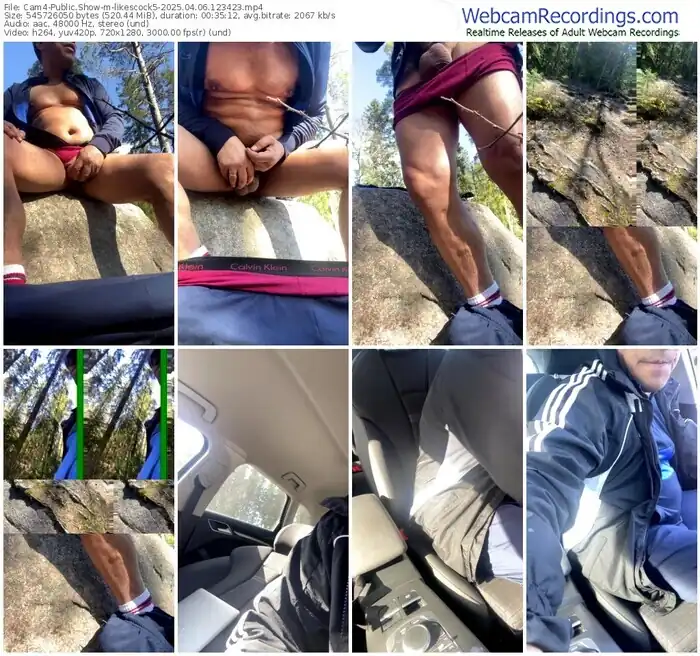 2025/04/06/cam4-likescock5-12-34-23