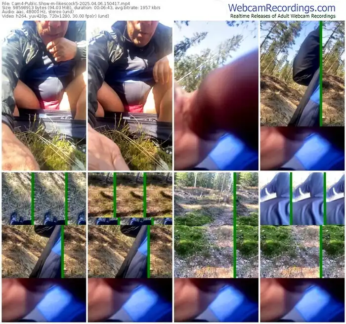 2025/04/06/cam4-likescock5-15-04-17