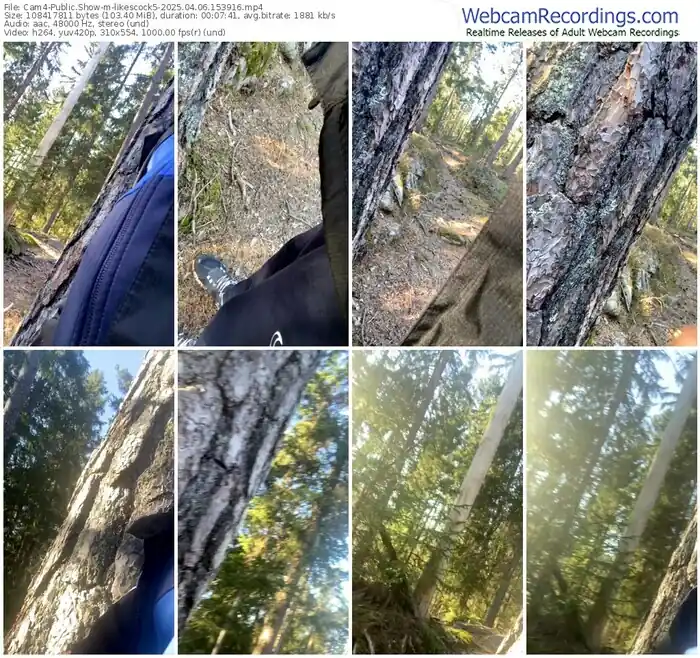 2025/04/06/cam4-likescock5-15-39-16