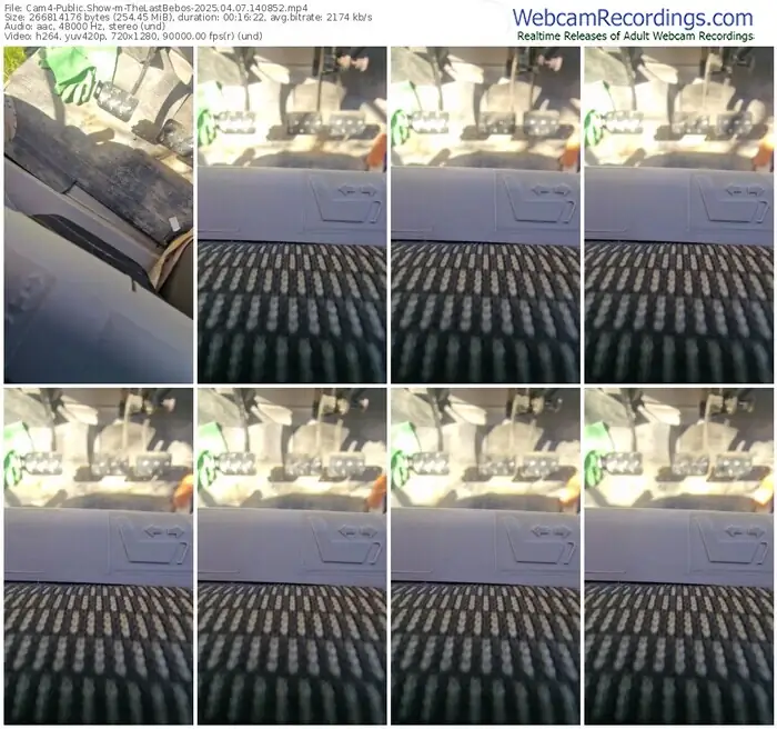 2025/04/07/cam4-thelastbebos-14-08-52