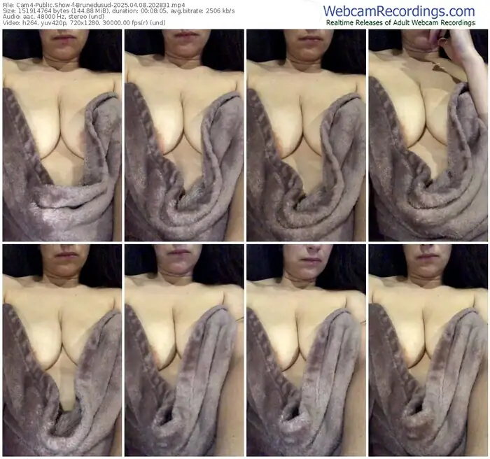 2025/04/08/cam4-brunedusud-20-28-31