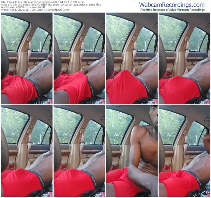 2025/04/08/cam4-pippergotpipe-11-36-37