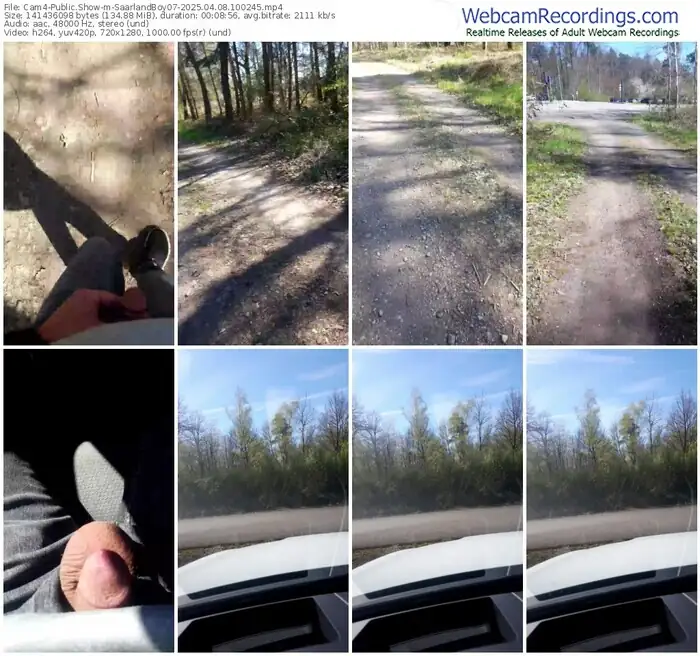 2025/04/08/cam4-saarlandboy07-10-02-45