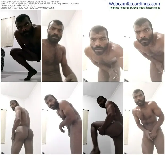2025/04/08/cam4-vidalgo-02-24-44