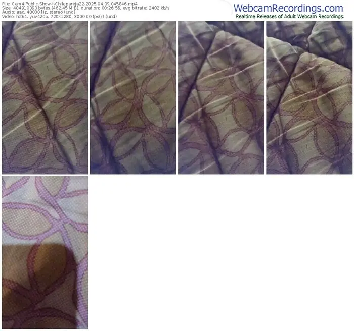 2025/04/09/cam4-chilepareja22-04-58-46