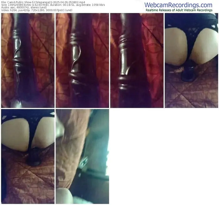 2025/04/09/cam4-chilepareja22-05-38-02