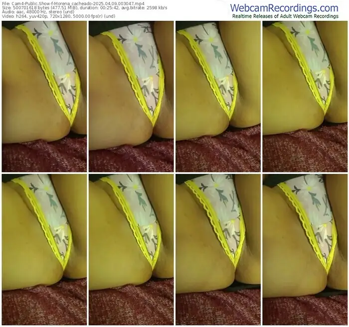 2025/04/09/cam4-morena_cacheado-00-30-47