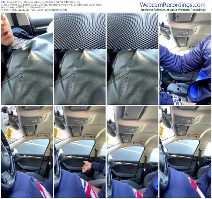 2025/04/09/cam4-likescock5-14-10-47