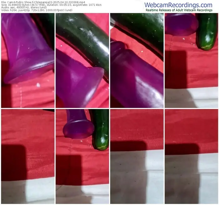 2025/04/10/cam4-chilepareja22-03-33-08