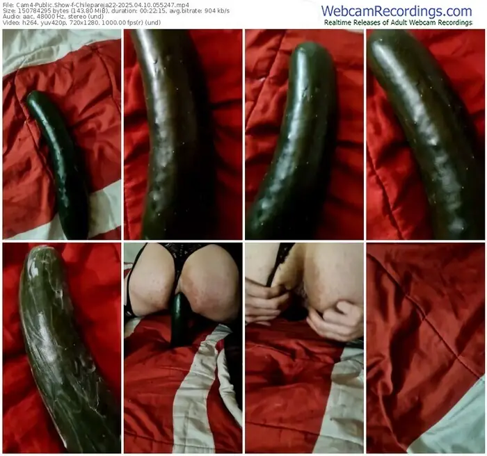 2025/04/10/cam4-chilepareja22-05-52-47