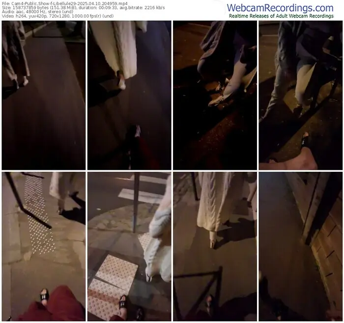 2025/04/10/cam4-libellule29-20-49-59