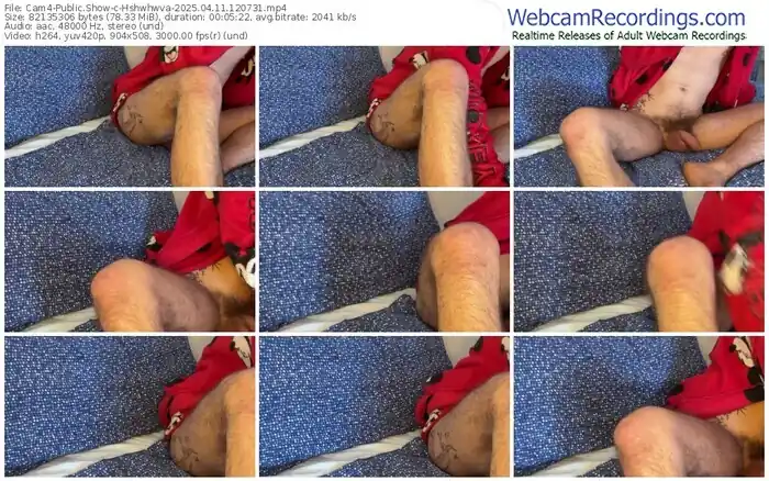 2025/04/11/cam4-hshwhwva-12-07-31