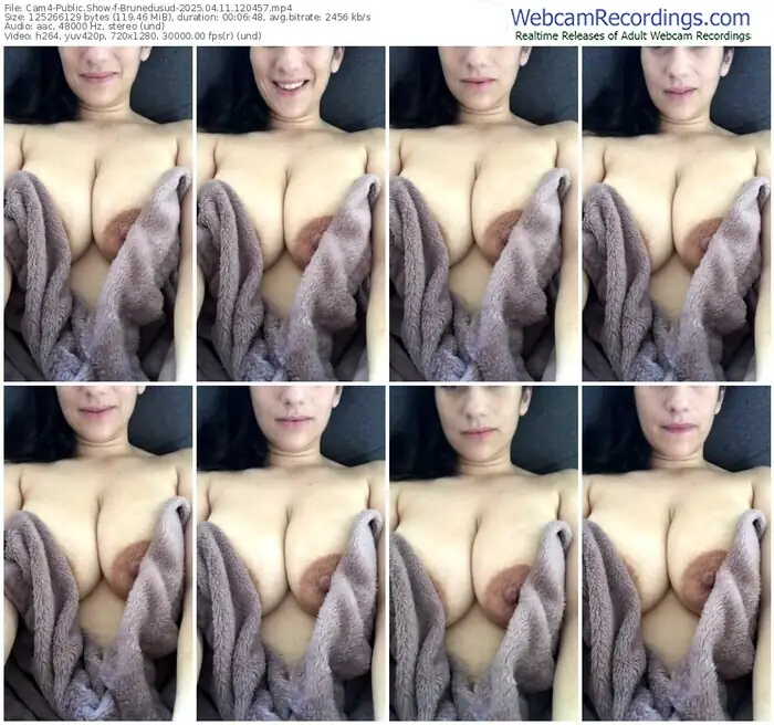 2025/04/11/cam4-brunedusud-12-04-57