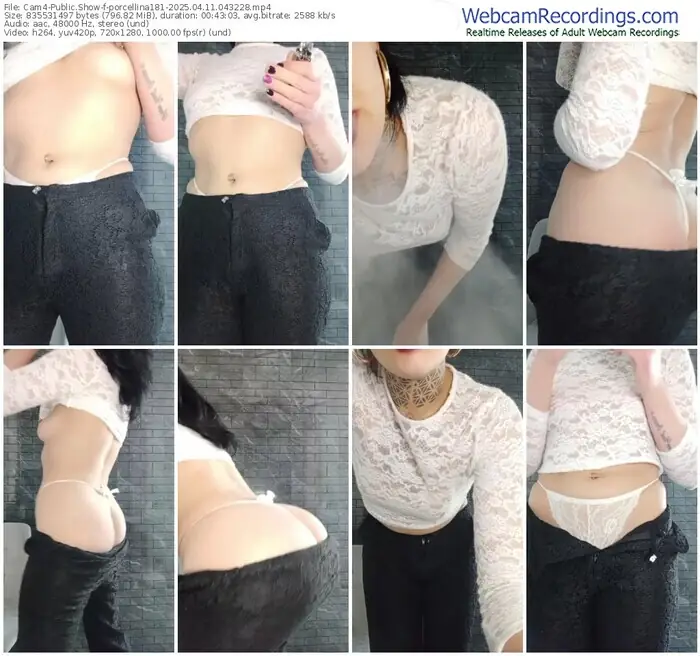 2025/04/11/cam4-porcellina181-04-32-28