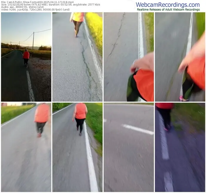 2025/04/11/cam4-simo460-17-10-18