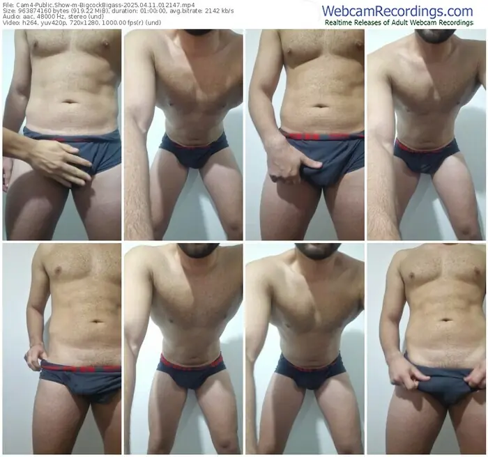2025/04/11/cam4-bigcockbigass-01-21-47