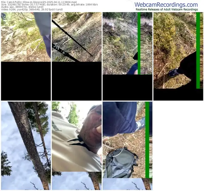 2025/04/11/cam4-likescock5-11-38-04