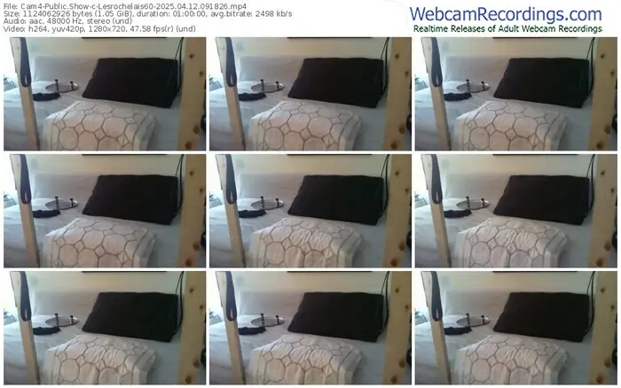 2025/04/12/cam4-lesrochelais60-09-18-26