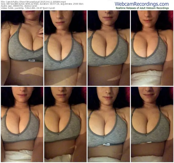 2025/04/12/cam4-brunedusud-20-58-44