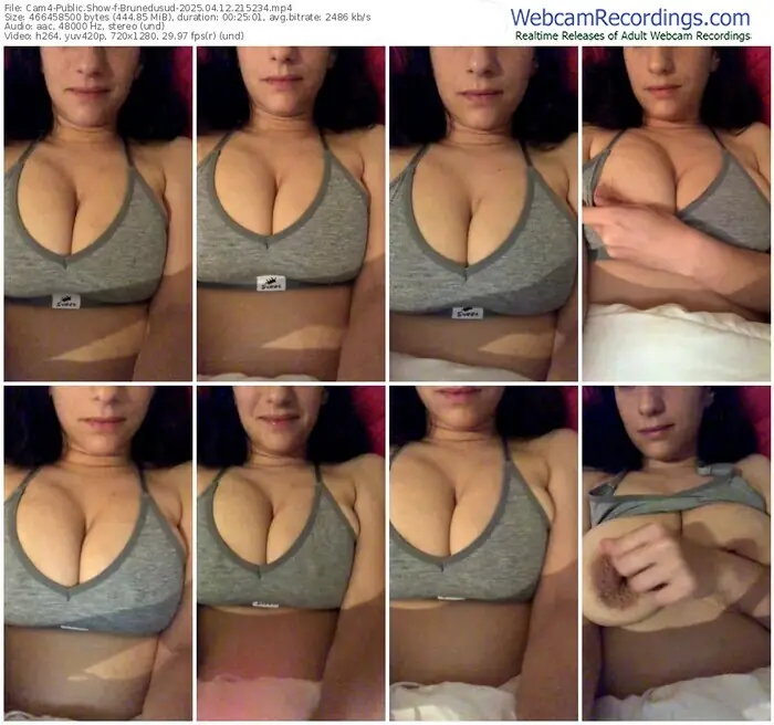 2025/04/12/cam4-brunedusud-21-52-34