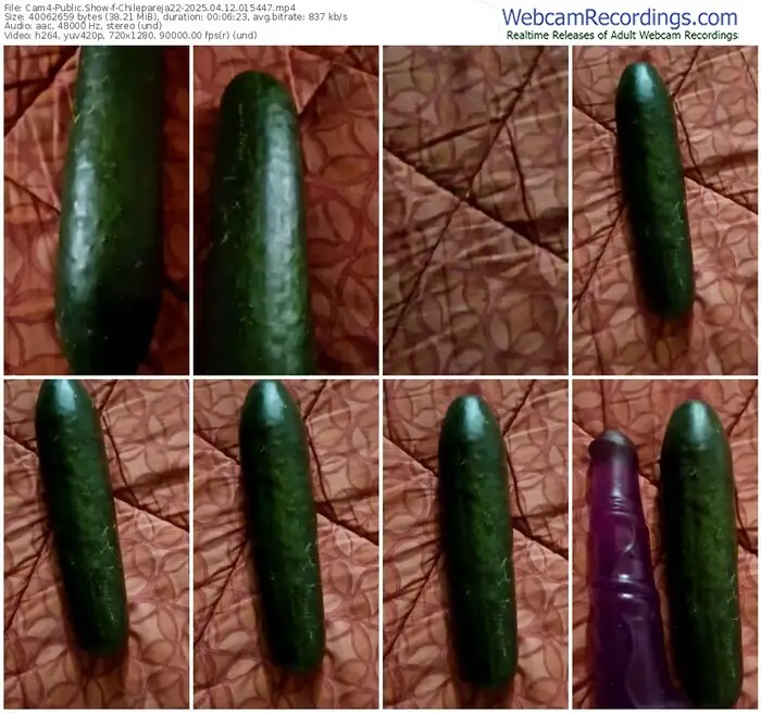 2025/04/12/cam4-chilepareja22-01-54-47