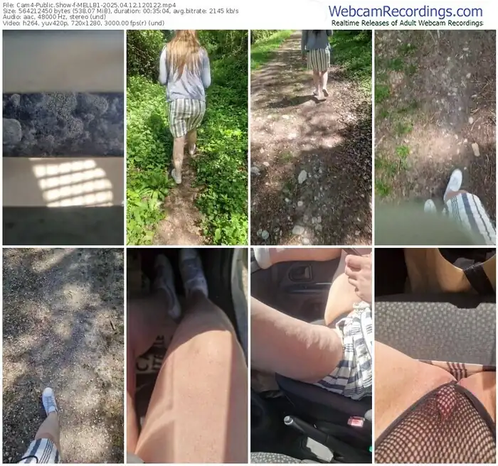 2025/04/12/cam4-mellb1-12-01-22