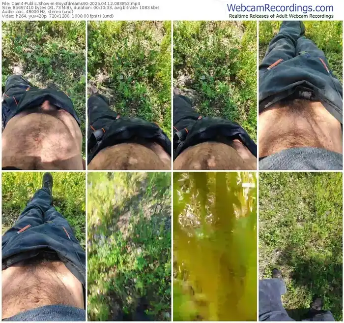 2025/04/12/cam4-boyofdreams90-08-38-53