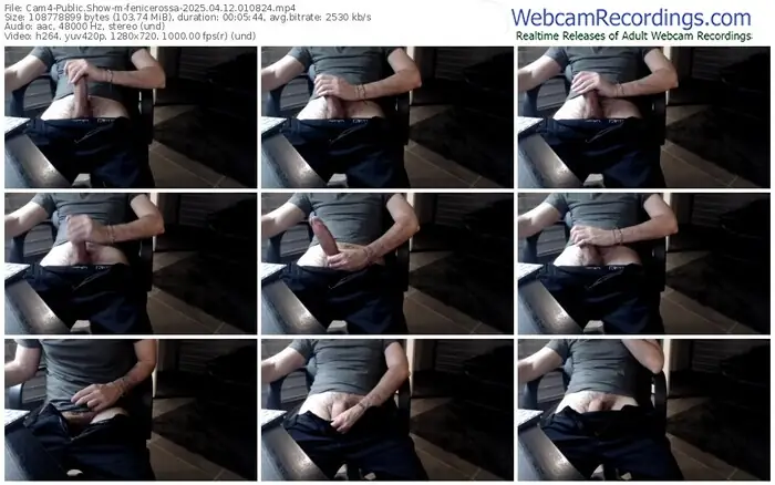2025/04/12/cam4-fenicerossa-01-08-24