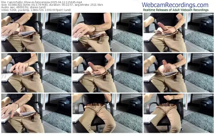 2025/04/12/cam4-fenicerossa-11-56-45