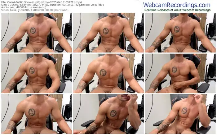 2025/04/12/cam4-pitgostoso-03-47-11