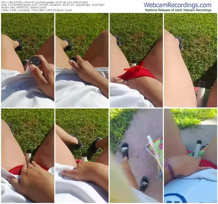 2025/04/13/cam4-conchamojadax-13-06-42