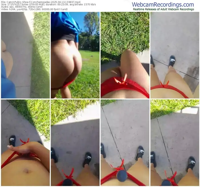 2025/04/13/cam4-conchamojadax-13-38-37