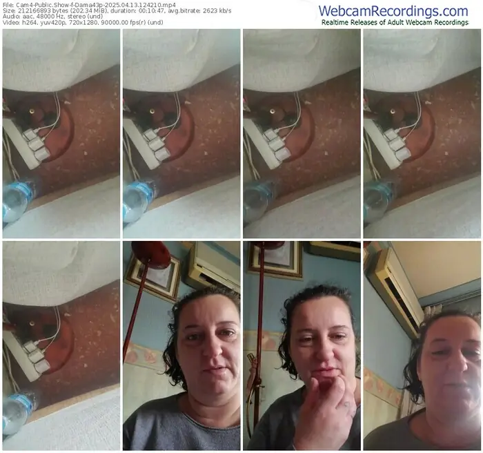 2025/04/13/cam4-dama43p-12-42-10