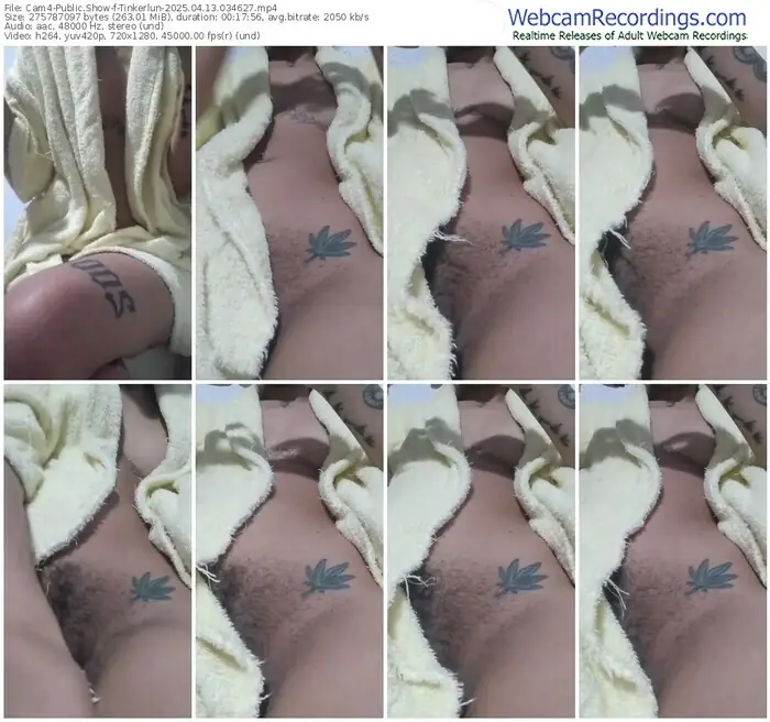 2025/04/13/cam4-tinkerlun-03-46-27