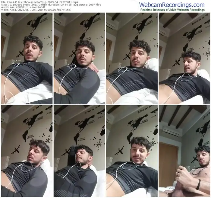 2025/04/13/cam4-mew2pup-22-00-11