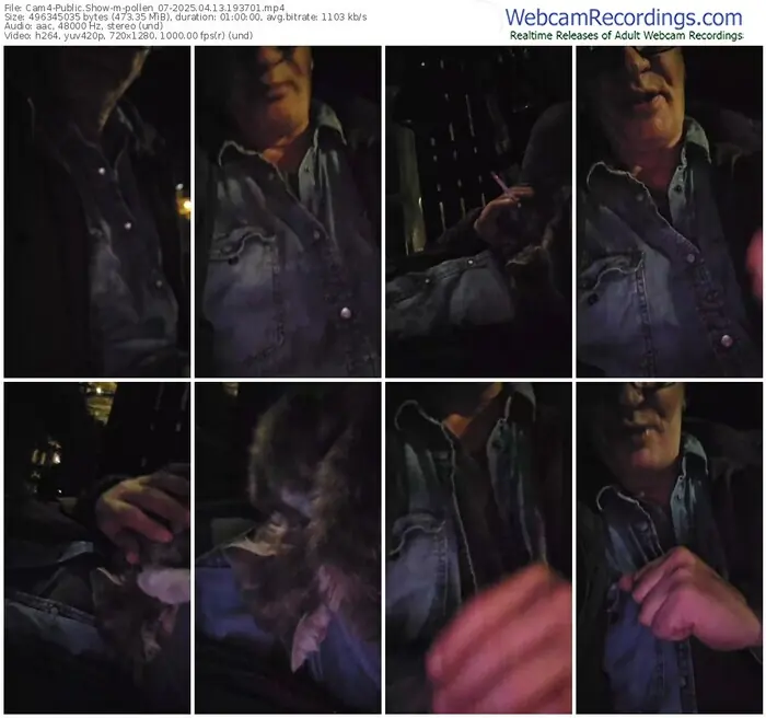 2025/04/13/cam4-pollen_07-19-37-01