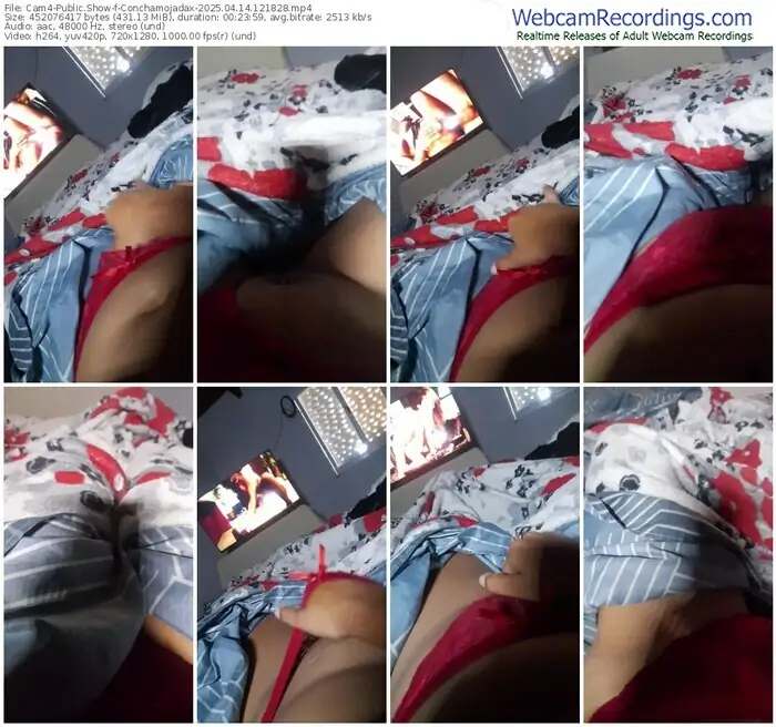 2025/04/14/cam4-conchamojadax-12-18-28