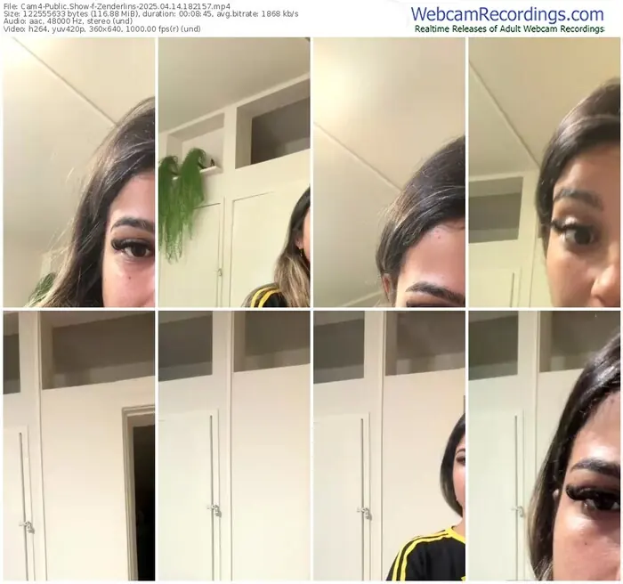2025/04/14/cam4-zenderlins-18-21-57