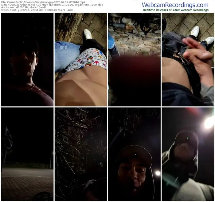 2025/04/14/cam4-sexylatinogay-06-50-46