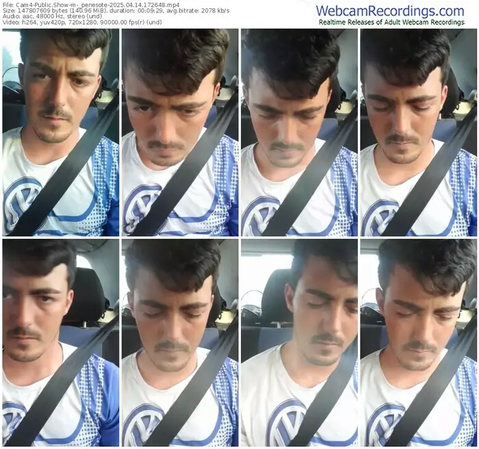 2025/04/14/cam4-_penesote-17-26-48