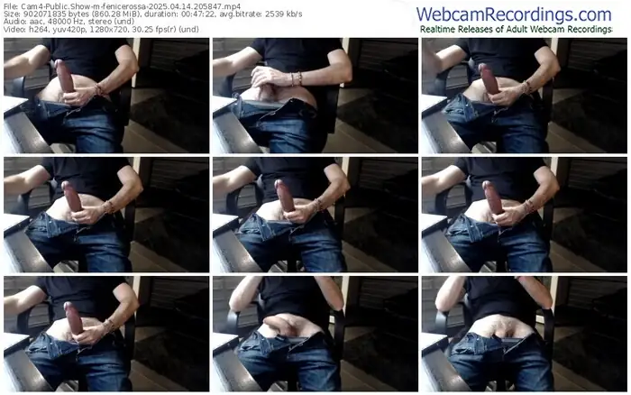 2025/04/14/cam4-fenicerossa-20-58-47