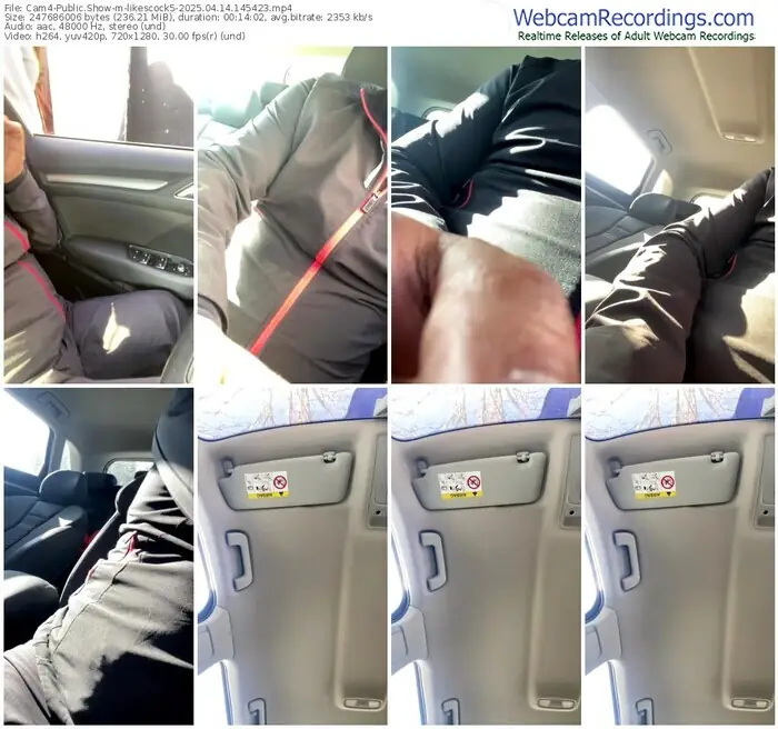 2025/04/14/cam4-likescock5-14-54-23