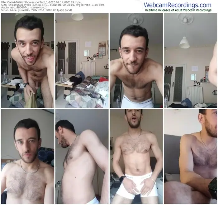 2025/04/14/cam4-perfect_1-09-01-29