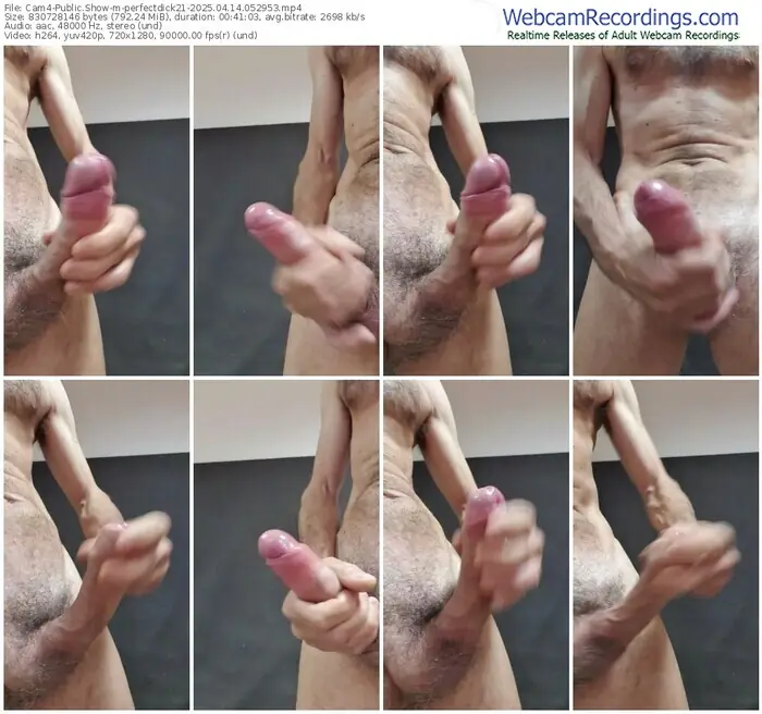 2025/04/14/cam4-perfectdick21-05-29-53